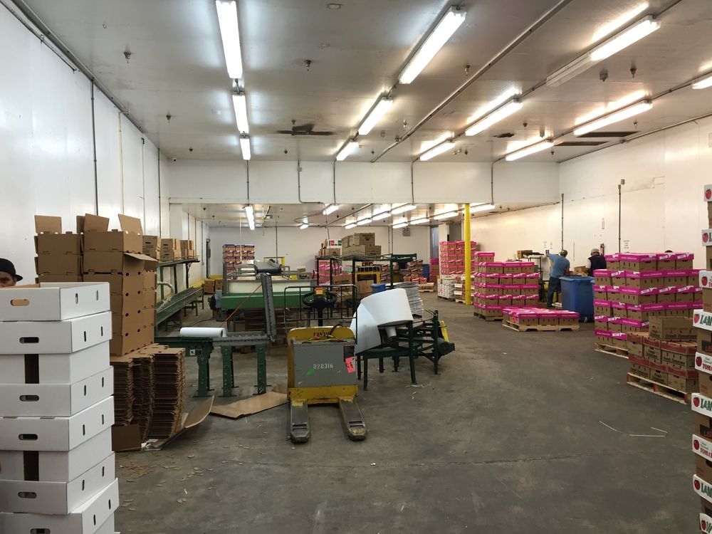 Bank-Owned Cold Storage Warehouse (USDA-Approved) & Expansion Lot : 290 SW 14th Ave, Pompano Beach, FL 33069
